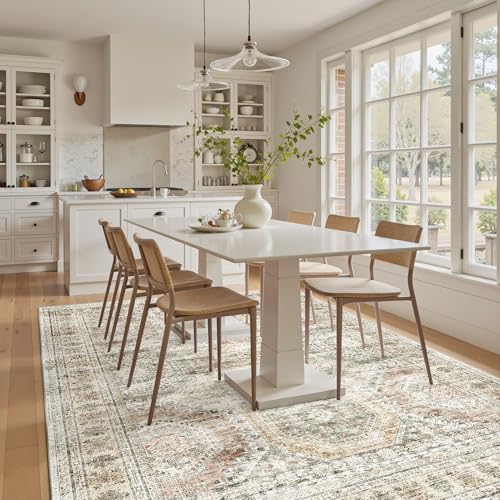 6x9 Area Rug for Living Room Washable Rugs Non (Brown/Pink / 6' x 9' (Rectangular))