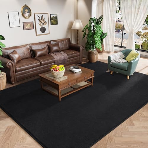 Modern Area Rugs for Bedroom Living Room (4' x 6' (Rectangular) / Black)