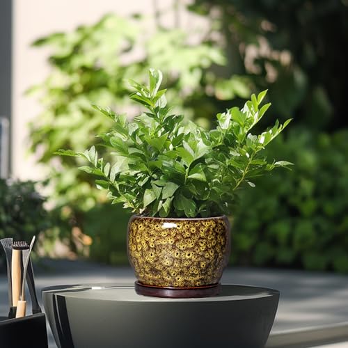 6 Inch Plant Pot (6 Inch / Leopard Yellow)