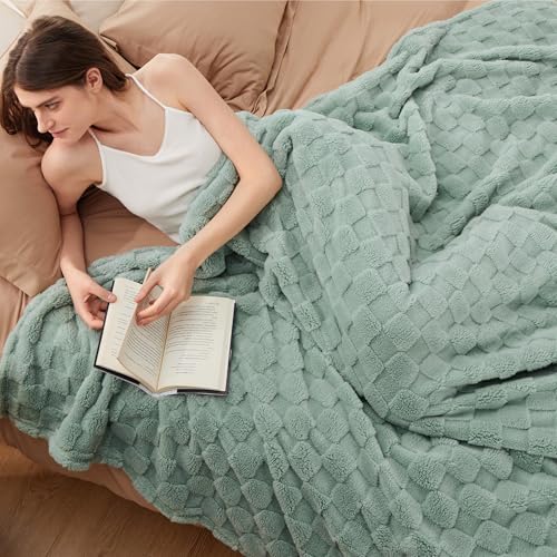 Checkered Soft Cozy King Blanket for Bed (01 Sage Green / King (108" X 90"))