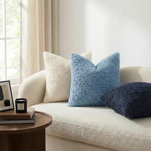 Sherpa Decorative Throw Pillow Covers 22x22 Set of 2 Light Blue (Light Blue / 22" x 22" (Pack of 2))