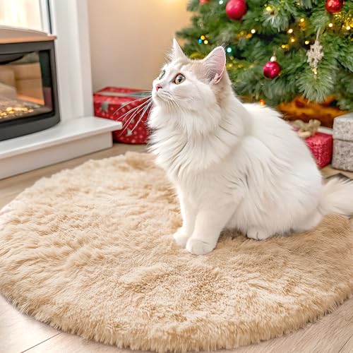 Beige Round Rugs for Bedroom (2 Ft Round / Beige)