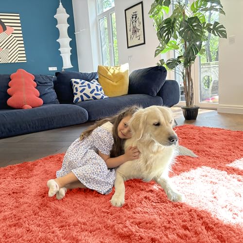 2x5 Machine Washable Runner Rugs for Hallway (2x5 Ft / Coral Red)