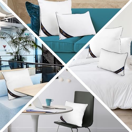 24x24 Throw Pillow Inserts (24x24 Inch)