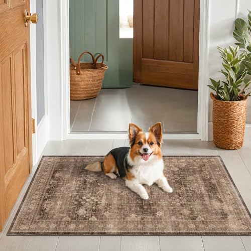 Boho Taupe Brown 3x5 Large Entryway Rug (3' x 5' (Rectangular) / Brown)