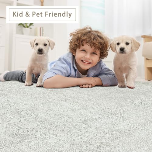 5x7 Washable Area Rugs for Living Room (5' x 7' (Rectangular) / Concrete-grey)