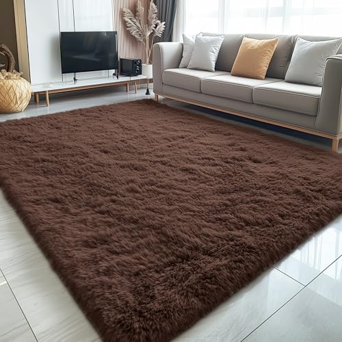 5x6 Area Rugs for Living Room Bedroom (5x6 Ft / Coffee)