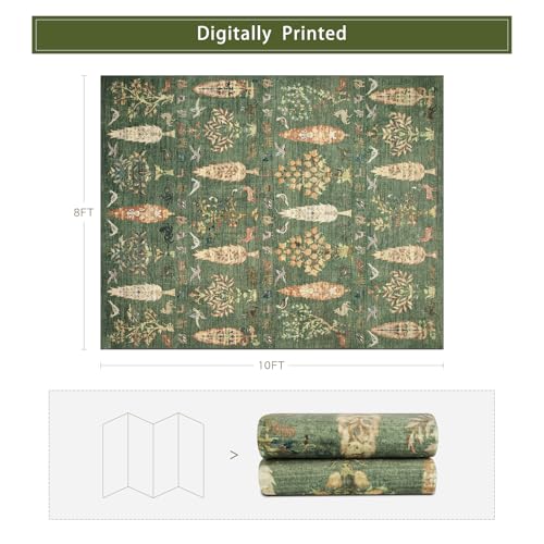 Washable Rugs 8x10 Area Rug for Living Room (8' x 10' (Rectangular) / Tree of Life-green)