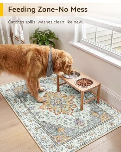 Washable Area Rug (Beige/Carbon Grey/Orange / 2' x 3' (Rectangular))