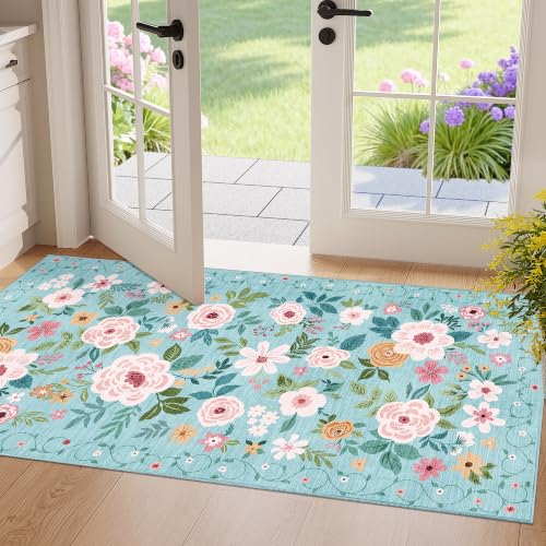 2x4 Entryway Rug (Teal / 2' x 4' (Rectangular))