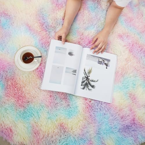 6x9 Fluffy Area Rug for Living Room (Rainbow / 6' x 9' (Rectangular))