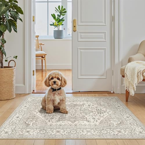 Washable Area Rug 2x3 Small Entryway Rugs Non (Beige/Brown / 2' x 3' (Rectangular))