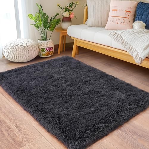 Small Rugs for Bedroom (3' x 2' (Rectangular) / Charcoal Gray)