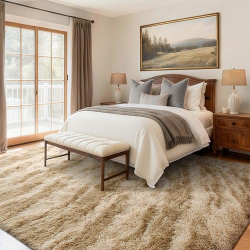 Area Rugs for Living Room (Cb Khaki 4sm03 / 4' X 6' (Rectangular))