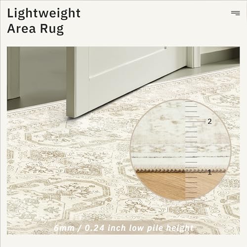 4x6 Area Rug for Living Room (Beige/Brown / 4' x 6' (Rectangular))