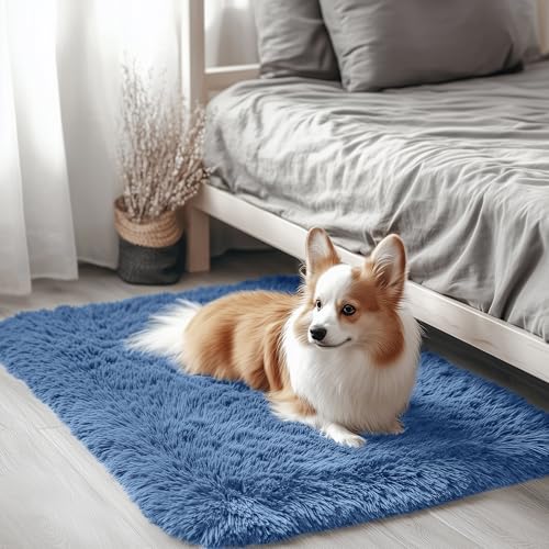 2x3 Machine Washable Small Bedside Rug (2x3 Ft / Blue)