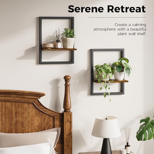 Wall Plant Holder Hanging Planters for Indoor Plants Frames Decor