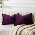 16x24 Lumbar Velvet Throw Pillow Covers Set of 2 (Eggplant Purple / 24" x 16" (Pack of 2))