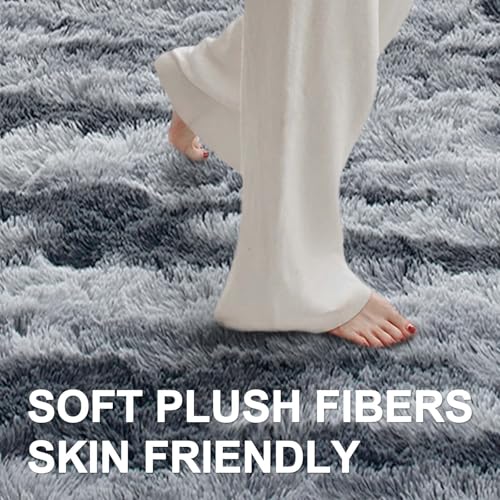 4x6 Ft Shag Rugs for Bedroom Living Room (Dg Grey 4sm02 / 4' X 6' (Rectangular))