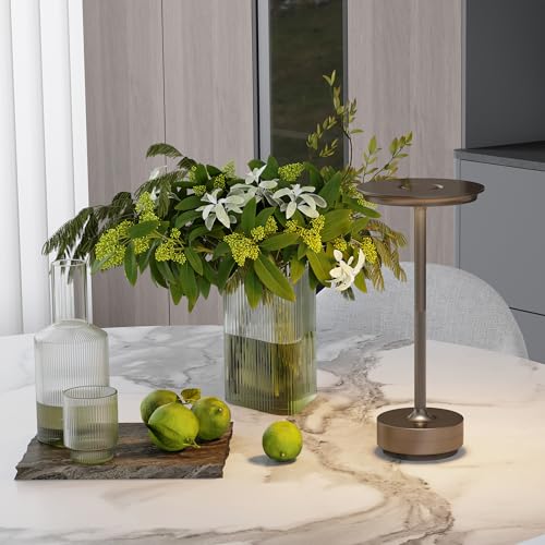 2 Pack Rechargeable Table Lamps Cordless (Light Cafe-2)