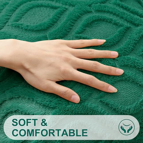 Faux Fur Plush Soft Green Throw Pillow Covers 20x20 Set of 2 (20" x 20" (Pack of 2) / Green)