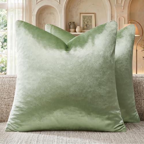 Sage Green Velvet Throw Pillow Covers 18x18 Pack of 2 (Sage Green / 18" x 18" (Pack of 2))