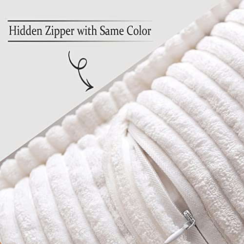 Decorative Lumbar Throw Pillow Covers 12x20 Inch White 2 Pack (White / 20" x 12" (Pack of 2))