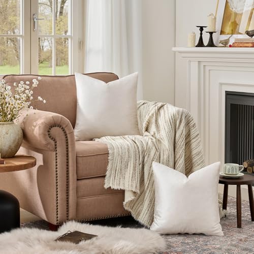 Velvet Pillow Covers 20x20 Decorative Pillows Pack of 2 Ivory (Ivory / 20" x 20" (Pack of 2))