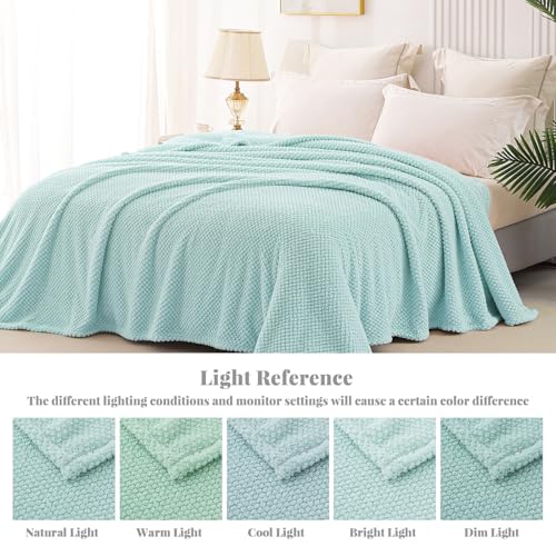 Extra Large Soft Fleece Throw Blanket for Couch (Light Blue / Throw(50x70 In))