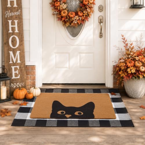 2 Pcs Fall Door Mat (Cute Cat)