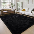 Shag Fluffy Area Rug for Bedroom Girls Living Room (5' x 8' (Rectangular) / Black)