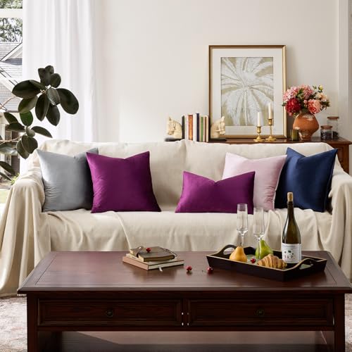 Velvet Pillow Covers 16x16 Decorative Pillows Pack of 2 Purple (Purple / 16" x 16" (Pack of 2))