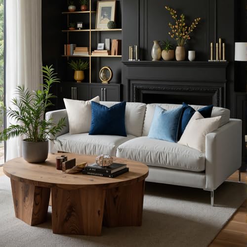 Velvet Throw Pillow Covers 20x20 Inch Pack of 2 Dark Blue (20" x 20" (Pack of 2) / Dark Blue)