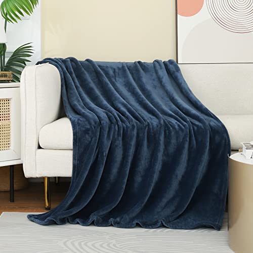 Stone Blue Fleece Plush Throw Blanket 60"x80"for Couch Fuzzy Cozy Flannel (Stone Blue / Twin(60"×80"))