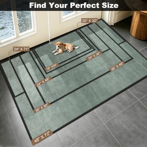 Super Absorbent Front Door Mat (Sage Green / 2' x 3' (Rectangular))