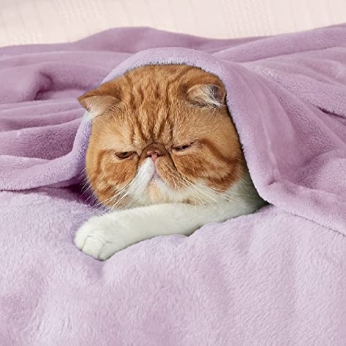 GentleSoft Fleece Blankets Queen Size Light Purple (Light Purple / Queen (90" X 90"))
