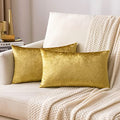 12x20 Inch Lumbar Velvet Throw Pillow Covers Golden (20" x 12" (Pack of 2) / Golden)