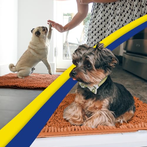 Super Water Absorbent Door Mat Indoor (Orange / 48" x 72")