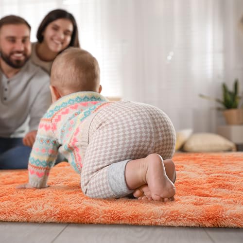 Fluffy Rug for Bedroom Living Room (4' x 6' / Orange)