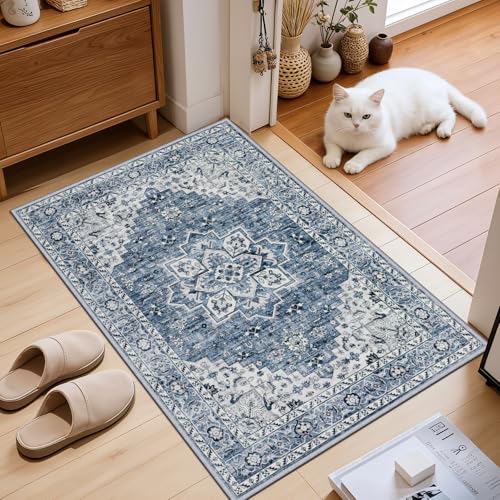 2x3 Area Rugs Living Room (Blue / 2' x 3' (Rectangular))