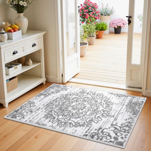 HEBE Indoor Door Mat 2'x3' (Grey / 2' x 3' (Rectangular))