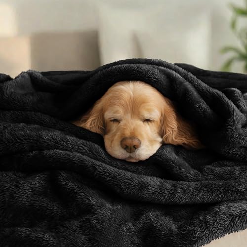 Fuzzy Plush Fleece Bed Blanket Queen Size (Black / 90x90 IN)