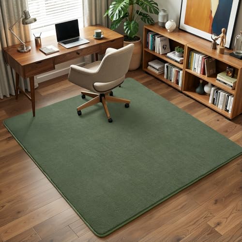 5x5 Square Area Rugs for Bedroom Living Room (5' x 5' (Square) / Sage Green)