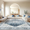 Amada Large 10x14 Washable Area Rug for Living Room (10' x 14' (Rectangular) / Blue)
