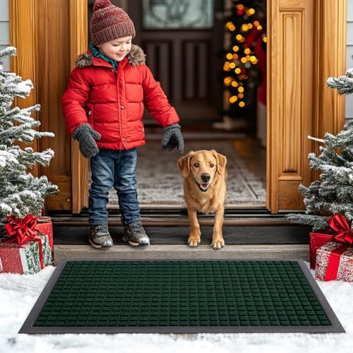 Front Door Mat Outside Entrance (Black Green / 47" X 23")