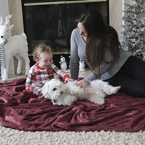 GentleSoft Fleece Blanket Twin Size Red (Burgundy Red / Twin (60" X 80"))