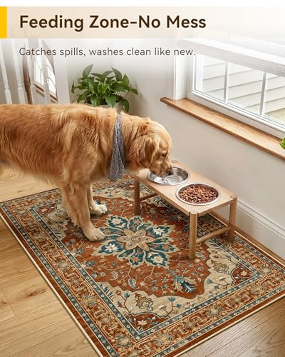 Washable Area Rug (Red/Orange/Blue/Brown / 2' x 3' (Rectangular))