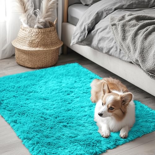 2x3 Machine Washable Small Bedside Rug (2x3 Ft / Teal Blue)