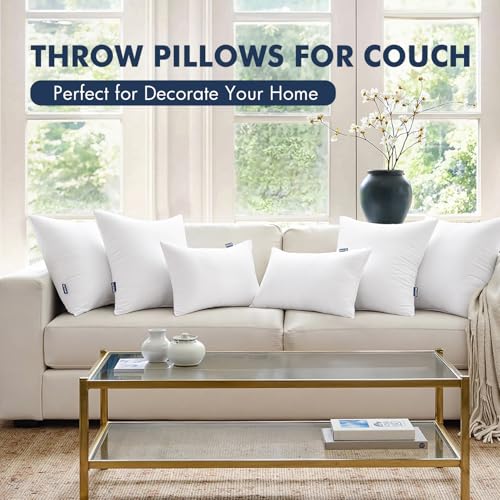 16x16 Throw Pillow Insert (16x16 Inch)
