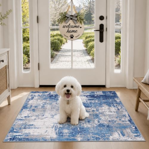 Washable 2'x3' Abstract Area Rug for Living Room Blue Gray (Blue/Gray / 2' x 3' (Rectangular))